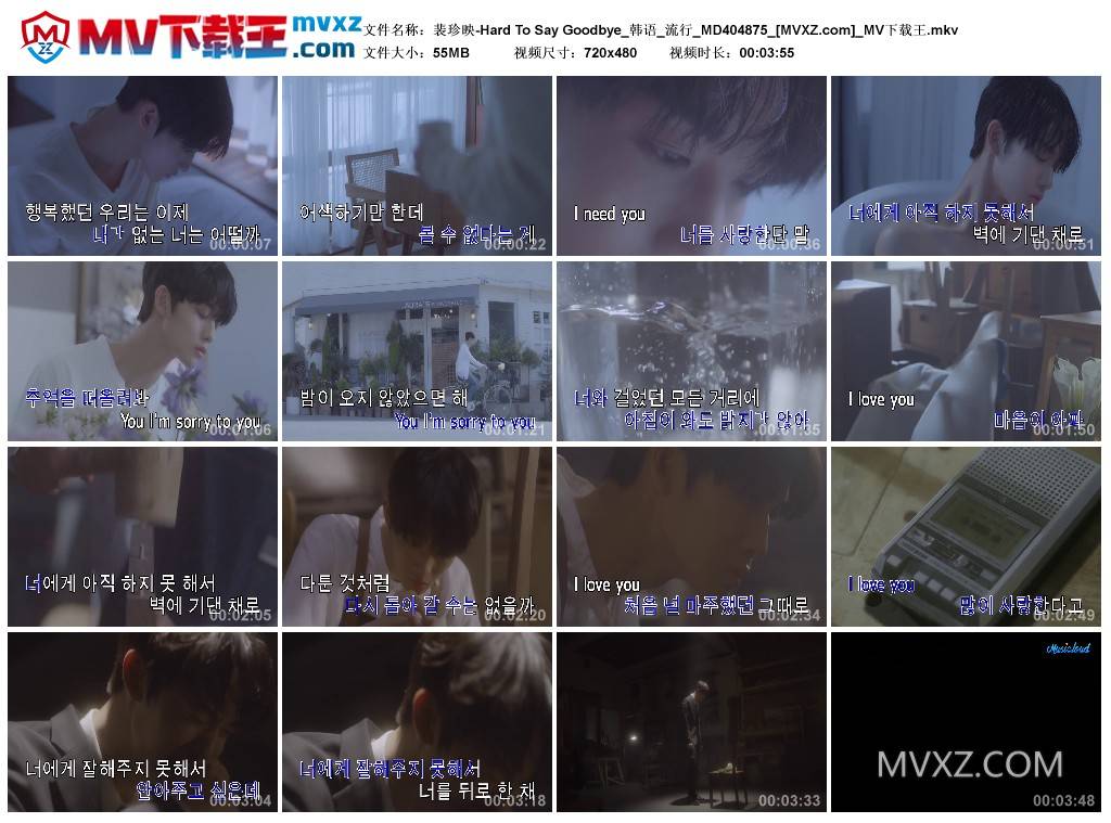 裴珍映-Hard To Say Goodbye_韩语_流行_MD404875